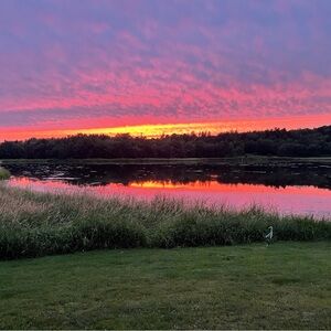 Meet your Posher, Norah